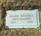 Allan Samuel William Beadell